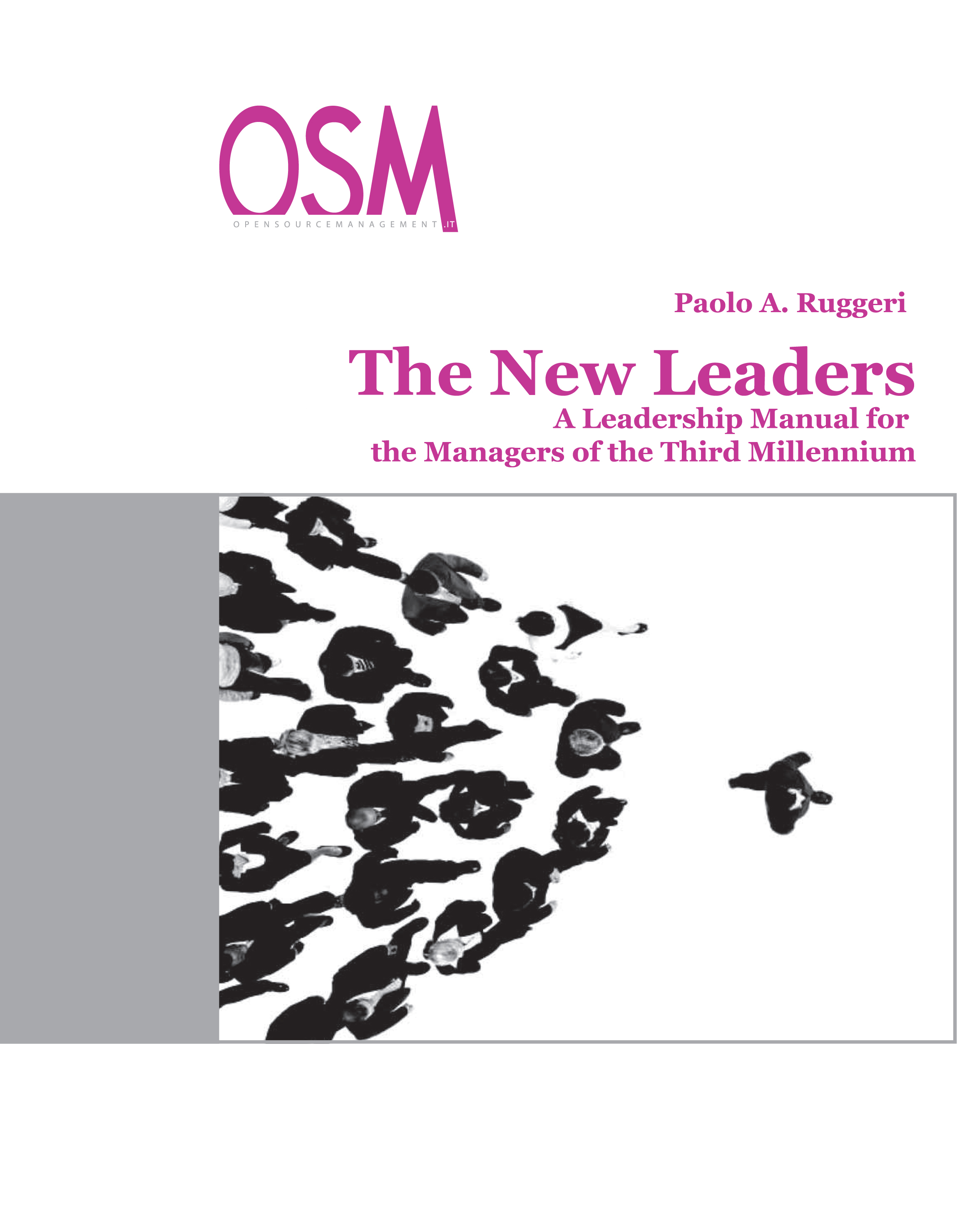 immagine del libro THE NEW LEADERS, I NUOVI CONDOTTIERI TRADOTTO IN INGLESE